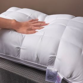 Whtie And Brown Premium Soft Luxury Bed Pillows - Queen-Sized Hypoallergenic Polyester Cover - Ergonomic Design For Back, Stomach Or Side Sleeper (Option: White)